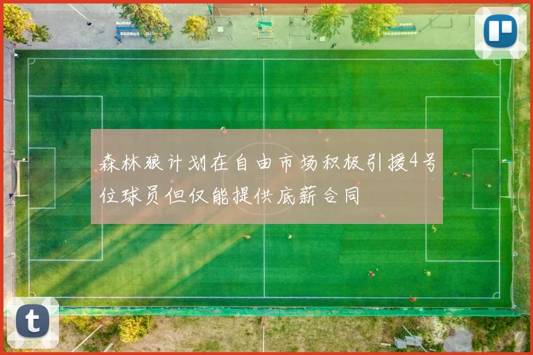 森林狼计划在自由市场积极引援4号位球员但仅能提供底薪合同